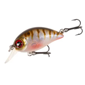 Wobler Mikado Shimmy 34 mm Oikawa Perch – pływający wobler na klenia i jazia