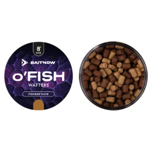 Wafters Method Feeder O'FISH Fish Betaine 8mm – przynęta na karpia
