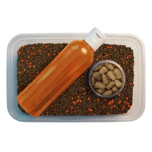 Multipack 3w1 Orzech Tygrysi Feeder Bait – pellet, liquid i przynęta