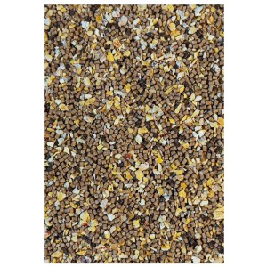 Feeder Bait Method Mix Club Series Dynamic Corn Natural – Ciemna, rybna zanęta feederowa