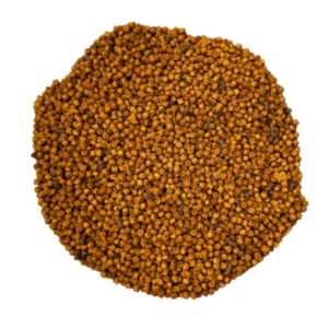 PRO Pellet Bronze Osmo – wysokobiałkowa zanęta do method feedera