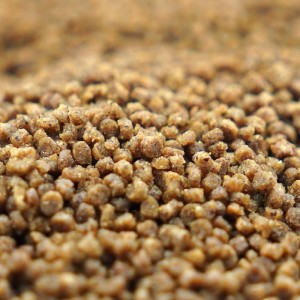 Osmo PRO Pellet Disc – Zanęta do metody feeder | Innowacyjny pellet w formie dysków