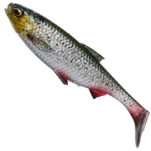 Guma Savage Gear 3D River Roach 8 cm 5 g Green Silver – naturalna guma na szczupaka i sandacza