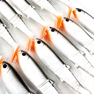 Savage Gear Cannibal Shad 12,5 cm 20 g White Black – skuteczna guma na drapieżniki